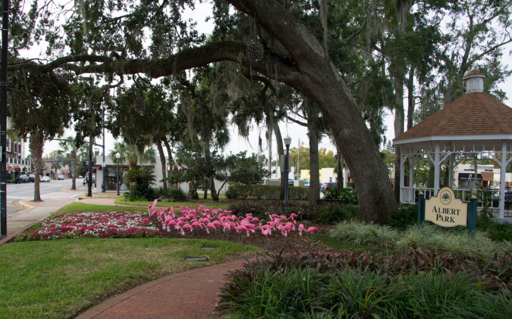 Albert Park in College Park – white gazebo, tree-lined paths, and community charm